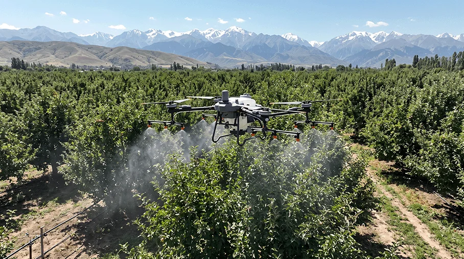 Опрыскивание крон деревьев DJI