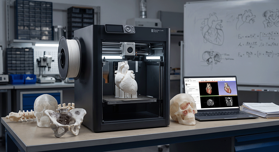 3D печать анатомических моделей